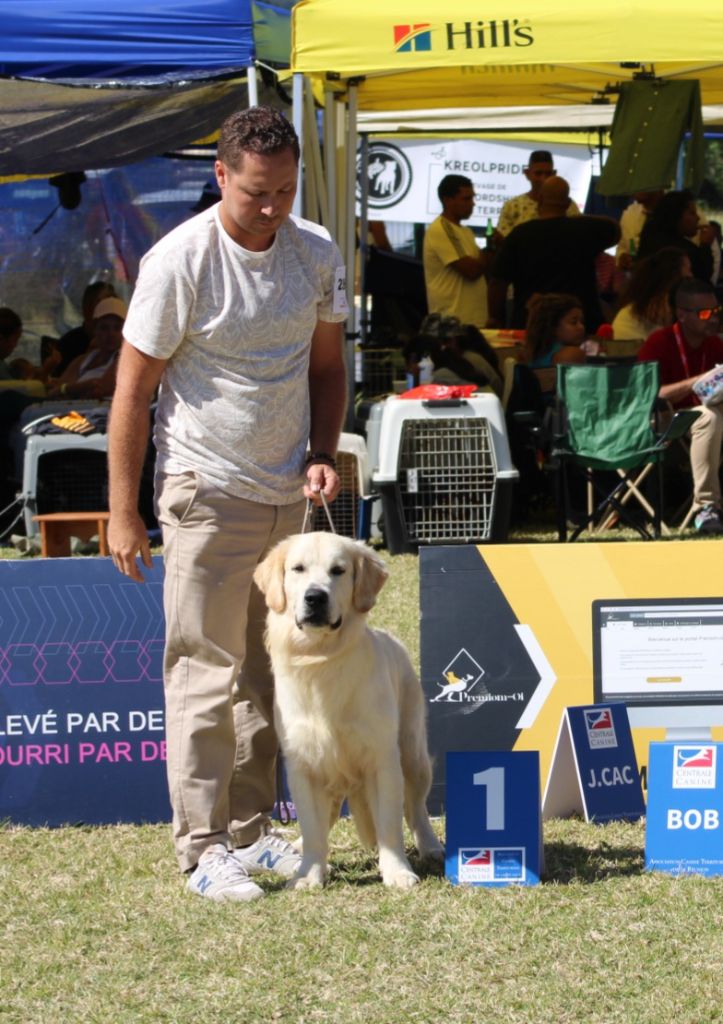 des enclos de la fournaise - Exposition canine 2024 à Saint Joseph 