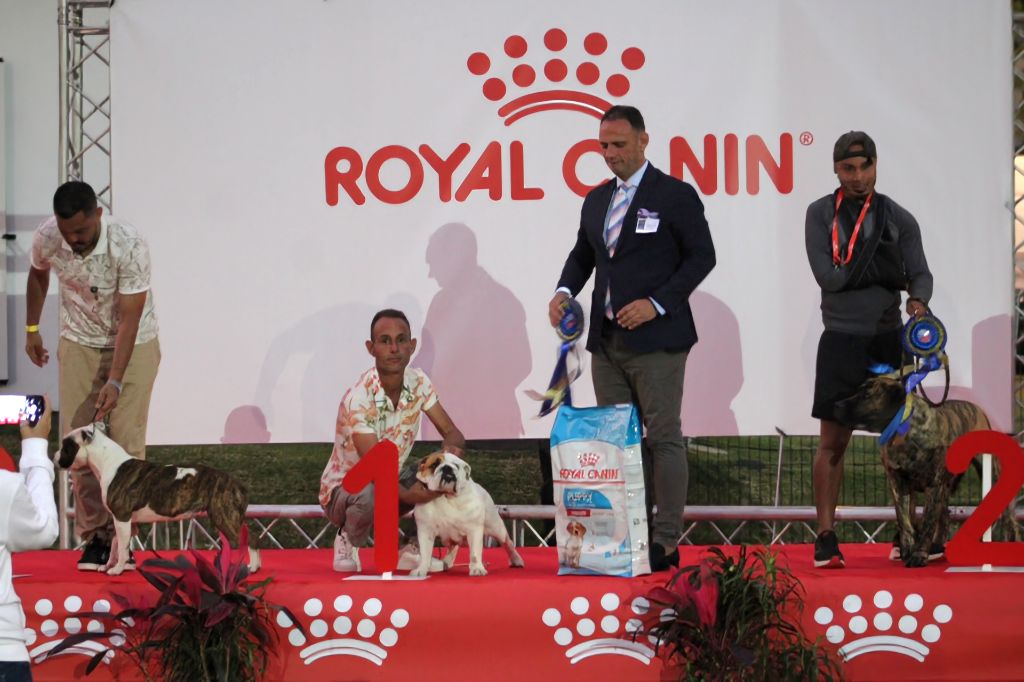 des enclos de la fournaise - Exposition canine 2024 à Saint Joseph (urielle)