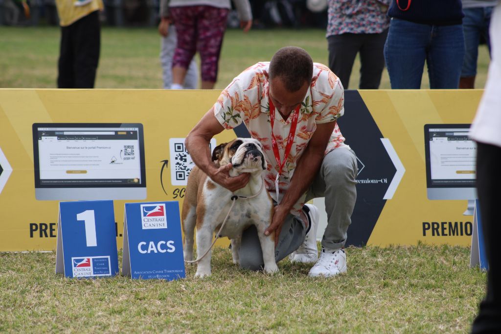 des enclos de la fournaise - Exposition canine 2024 à Saint Joseph (tara)